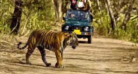 Raja Ji National Park