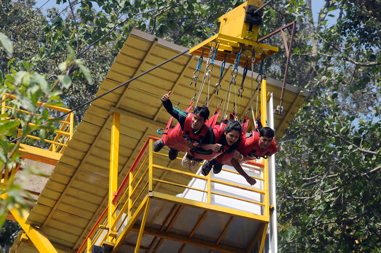 Flying Fox image