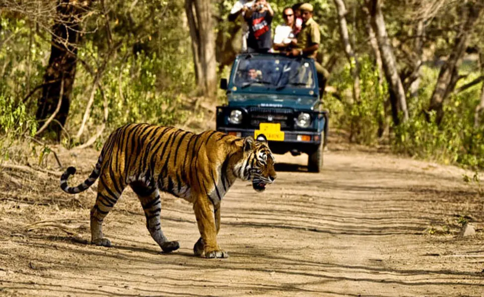 Raja Ji National Park image